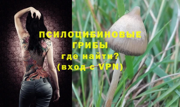 spice Абинск