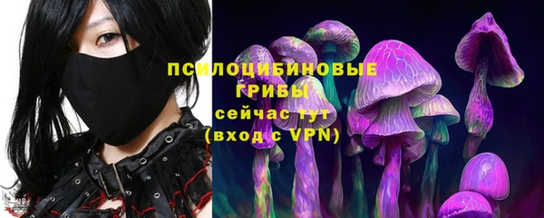 ПСИЛОЦИБИНОВЫЕ ГРИБЫ Абаза