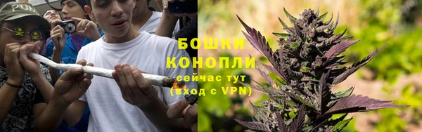 ПСИЛОЦИБИНОВЫЕ ГРИБЫ Абаза
