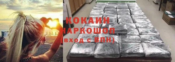ПСИЛОЦИБИНОВЫЕ ГРИБЫ Абаза
