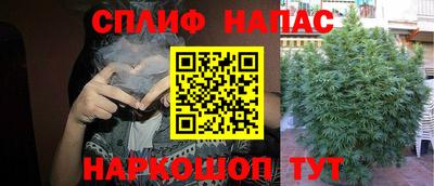 кокс Дубна