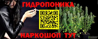 кокс Дубна