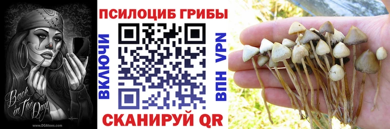 Псилоцибиновые грибы прущие грибы  что такое   Мыски 