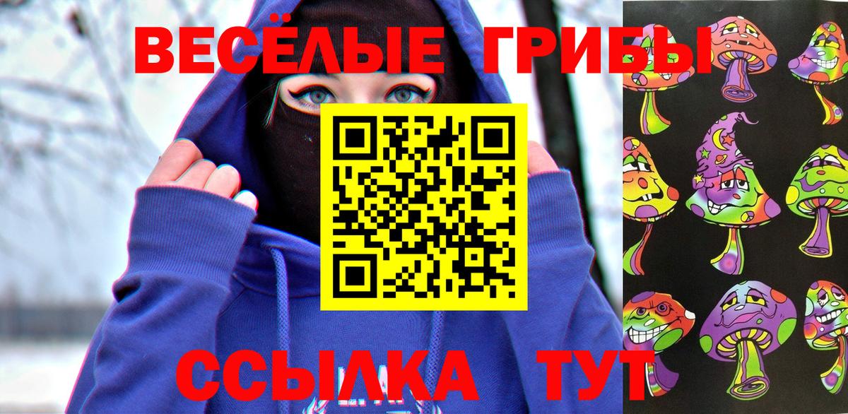 Псилоцибиновые грибы Psilocybe  Псилоцибиновые грибы ЛСД  Мыски  Вход с VPN 